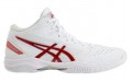 Asics Gel-hoop V11