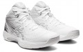 Asics Gel-Hoop V14