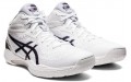 Asics Gel-Hoop V14