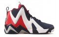 Reebok Kamikaze II USA