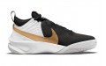 Nike Team Hustle D 10 GS