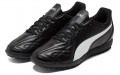 Puma King Hero 21 TT