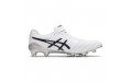 Asics DS LIGHT X-FLY 5