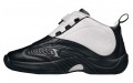 Reebok Answer IV Stepover