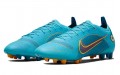 Nike Vapor 14 14 Elite AG