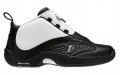 Reebok Answer IV Stepover