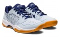 Asics Gel-Renma