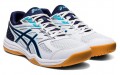 Asics Upcourt