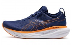 Asics GEL-Nimbus 25