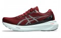 Asics Gel-Kayano 30