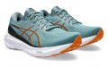 Asics Gel-Kayano 30