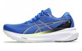 Asics Gel-Kayano 30