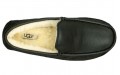 UGG Ascot