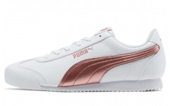 Puma Turino