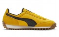 Puma Fast Rider Source