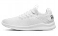 Puma Flash Ignite Evoknit En Pointe