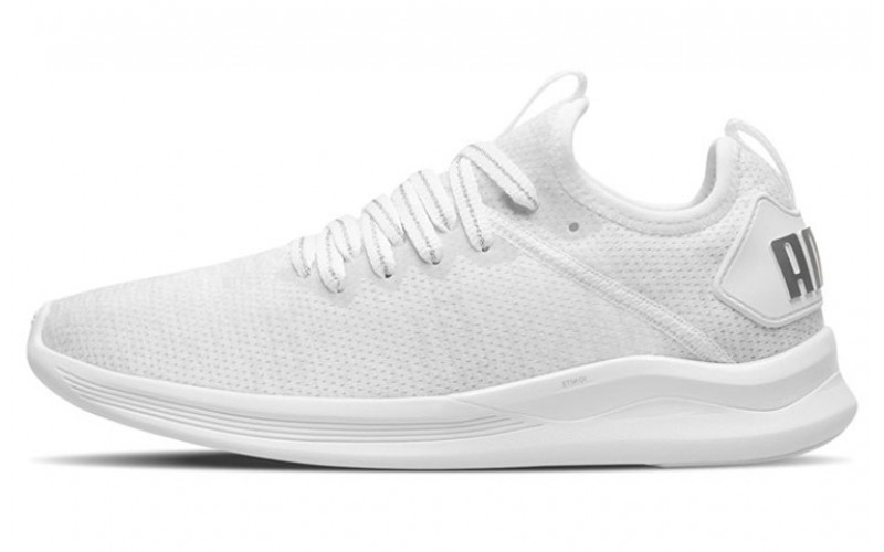 Puma Flash Ignite Evoknit En Pointe