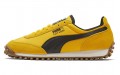 Puma Fast Rider Source