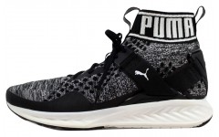 PUMA Ignite EvoKnit