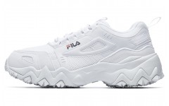 FILA Fellow