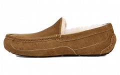 UGG Ascot Slipper