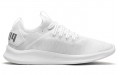 Puma Flash Ignite Evoknit En Pointe