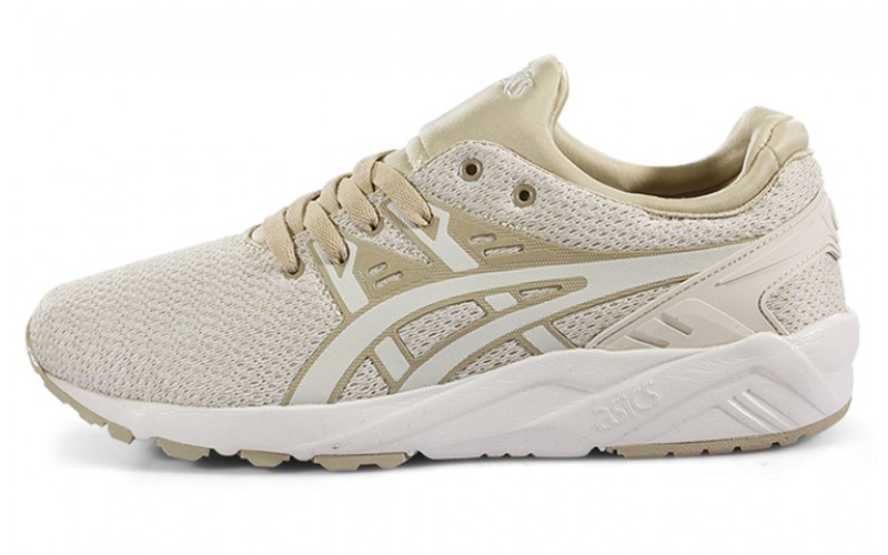 Asics Gel-Kayano Trainer Evo