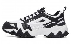 FILA Fellow