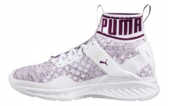 Puma Ignite Evoknit