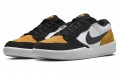 Nike SB Force 58