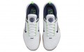 Nike Zoom Court NXT HC