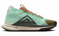 Nike Pegasus Trail 4 Gore-Tex