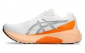 Asics Gel-Kayano 30