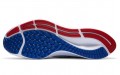 Nike Pegasus 37 New York Giants