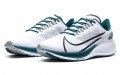 Nike Pegasus 37 philadelphia eagles