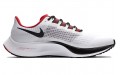 Nike Pegasus 37 Air Zoom Atlanta Falcons