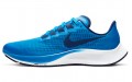 Nike Pegasus 37