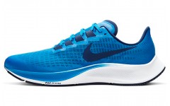 Nike Pegasus 37