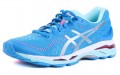 Asics Gel-Kayano 23