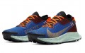 Nike Pegasus Trail 2 GORE-TEX