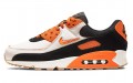 Nike Air Max 90 PRM