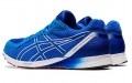 Asics Tartheredge 2