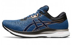 Asics EvoRide