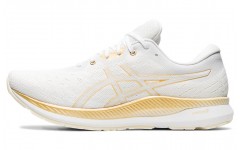 Asics EvoRide 1