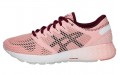 Asics Roadhawk FF 2