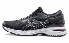 Asics Gel-Kayano 25