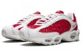 Supreme x Nike Air Max Tailwind 4