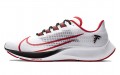 Nike Pegasus 37 Air Zoom Atlanta Falcons