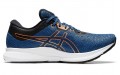 Asics EvoRide