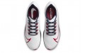 Nike Pegasus 37 Houston Texans